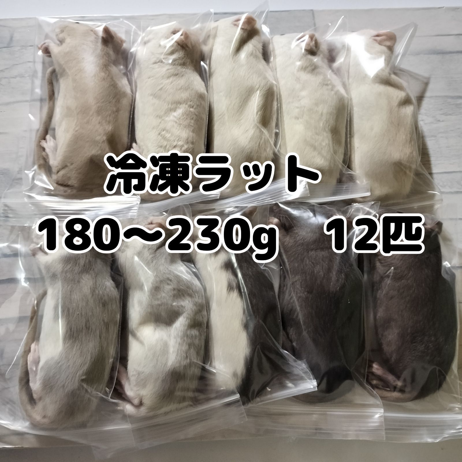 爬虫類のエサ 国産冷凍ラット アダルト 180〜230g 12匹
