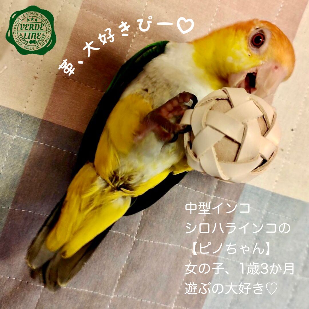 フォージングボール☆インコや文鳥の小鳥のハンドメイドおもちゃ