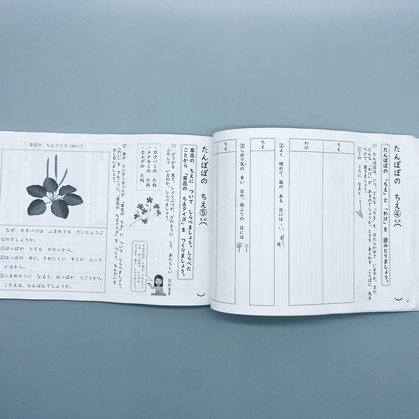 国語“説明文教材の新読解ワークシート26 - メルカリ