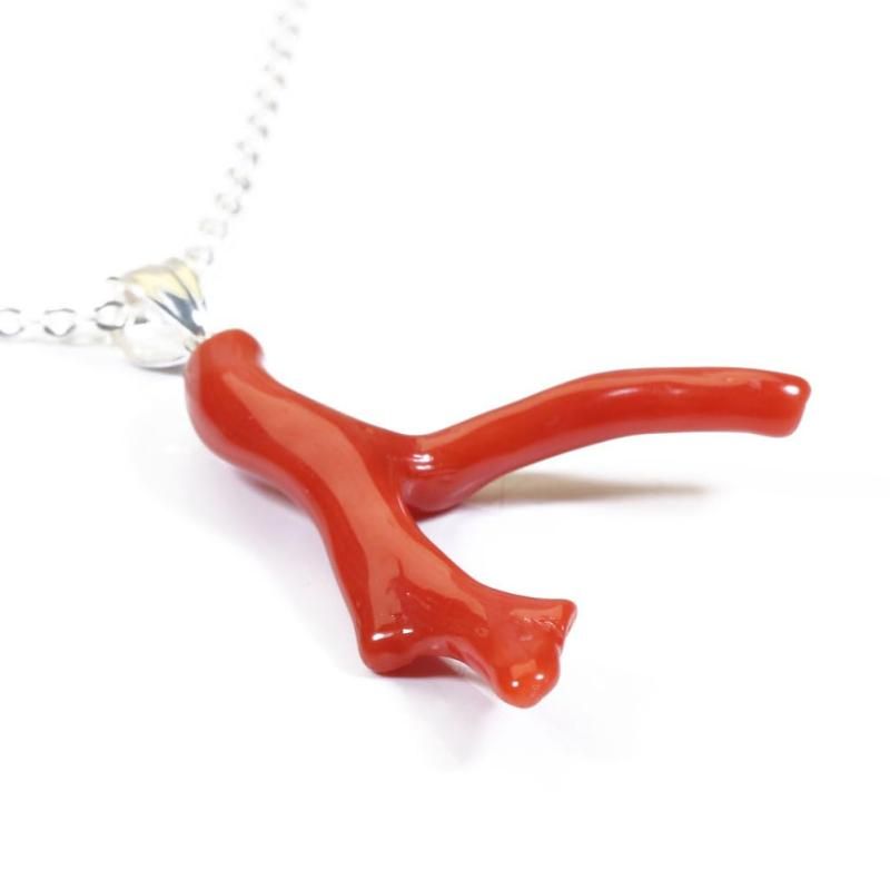 血赤珊瑚シルバーペンダントヘッド (細長) 血赤珊瑚の牙型ペンダントトップ SV pd-37 | ワールドコーラル