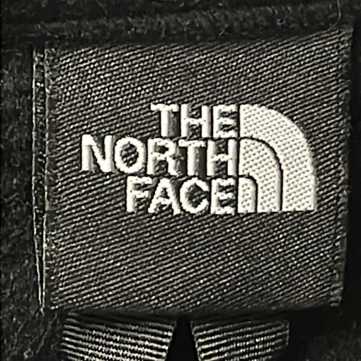 NORTH FACE