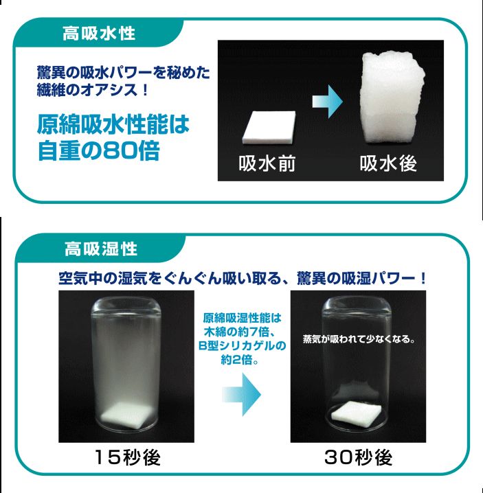 カビ対策 ベルオアシス