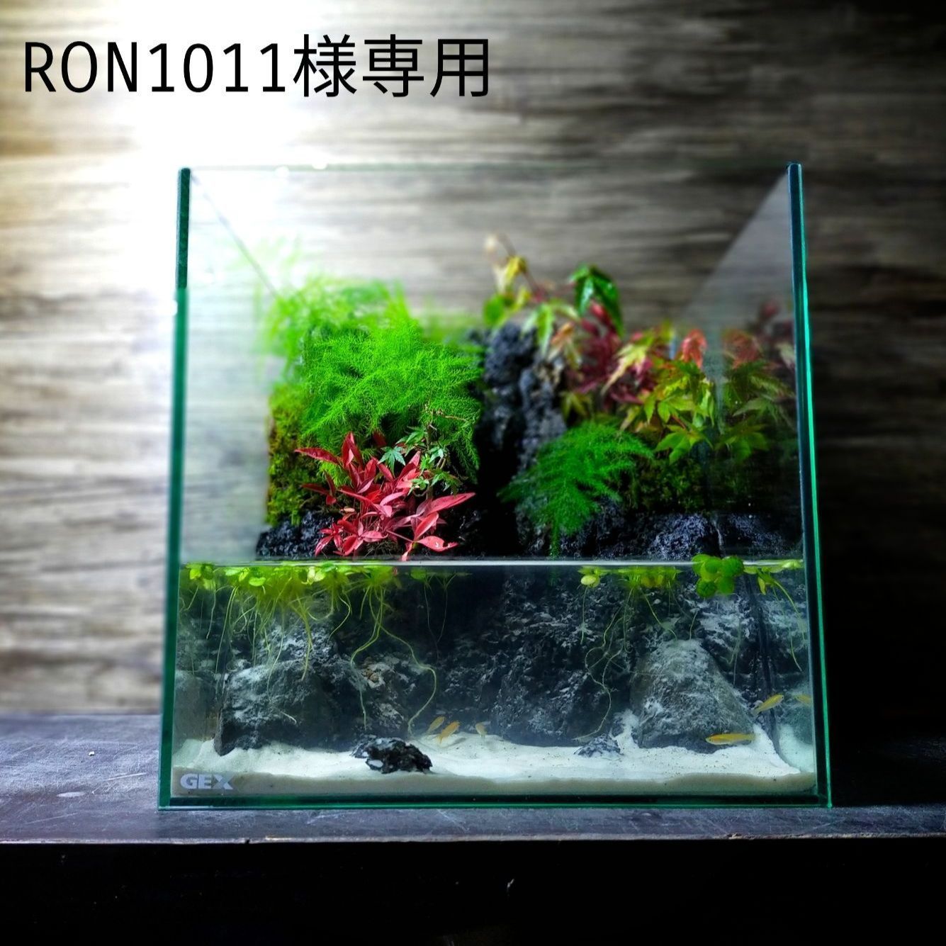 滝の流れるアクアテラリウム RON1011様専用 - メルカリ