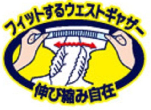 ペット用紙オムツ