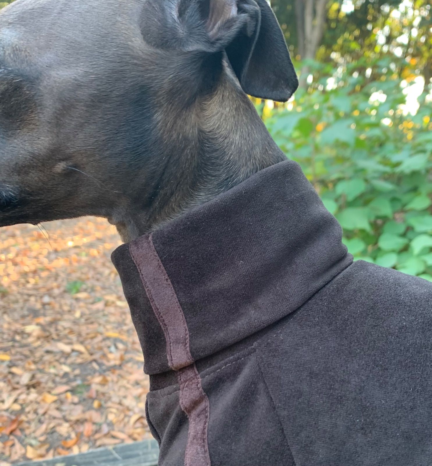 ベロアのロンパース③ イタグレ服 犬服 ハンドメイド 【公式通販】