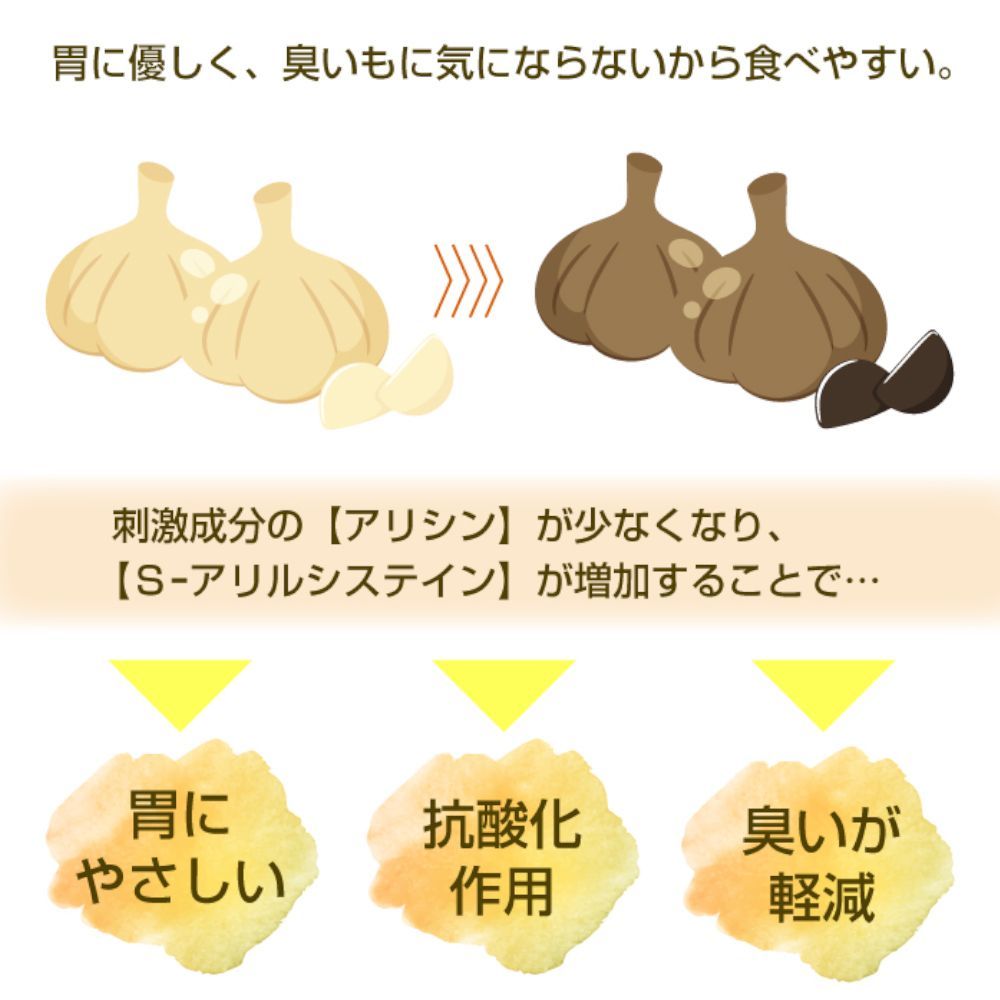 発酵期間 6日間から12日間