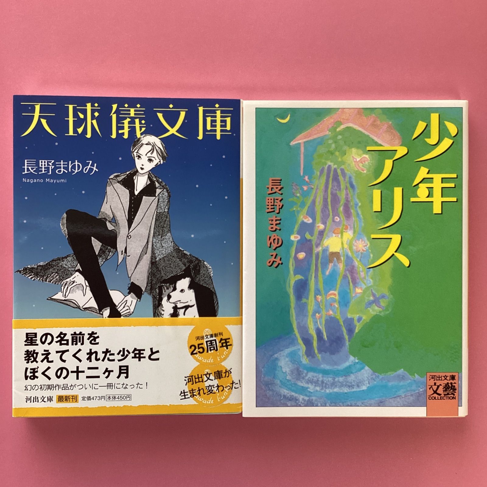 長野まゆみ 河出文庫セット b16_5954 - 象と花｜子どもたちに本の