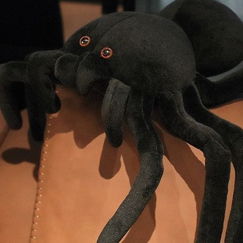 グロ注意❤️蜘蛛の目玉　特大ピエロクマ　ぬいぐるみ　ホラー　スパイダー 楽天市場】【20cm】送料無料 ぬいぐるみ ハロウィン ?スパイダー