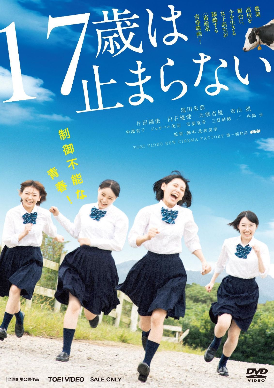 17歳は止まらない DVD