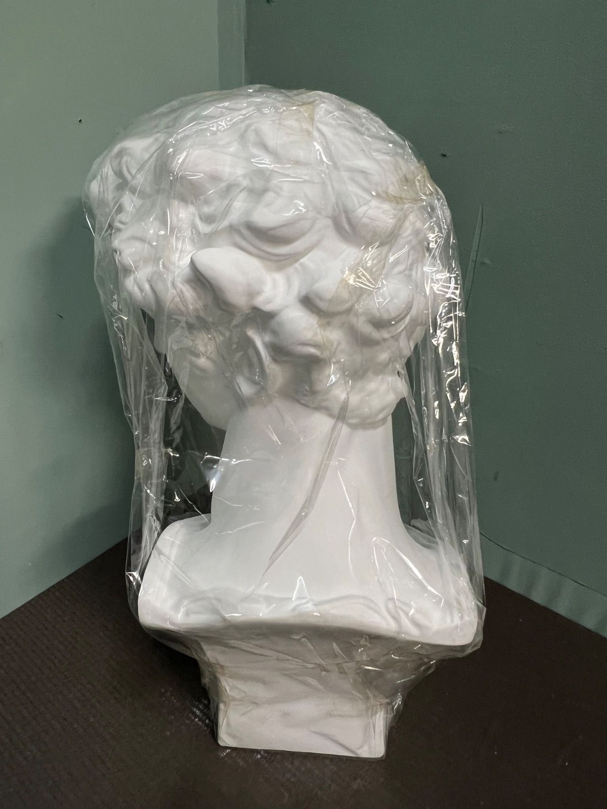 ショップ ⭐︎ 美術 石膏像 胸像 美術 彫刻 デッサン メディチ 石膏