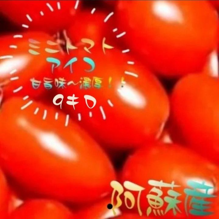 🍅ミニトマトアイコ🍅【９キロ】 - 阿蘇大黒天 - メルカリ