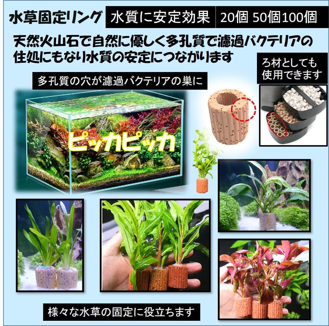 濾過材料 アクアリウム 石 金魚 アクアリウム内装 固定 メダカ 水草 溶岩石 底砂 熱帯魚 水草固定リング 水槽用 100個 TS ST