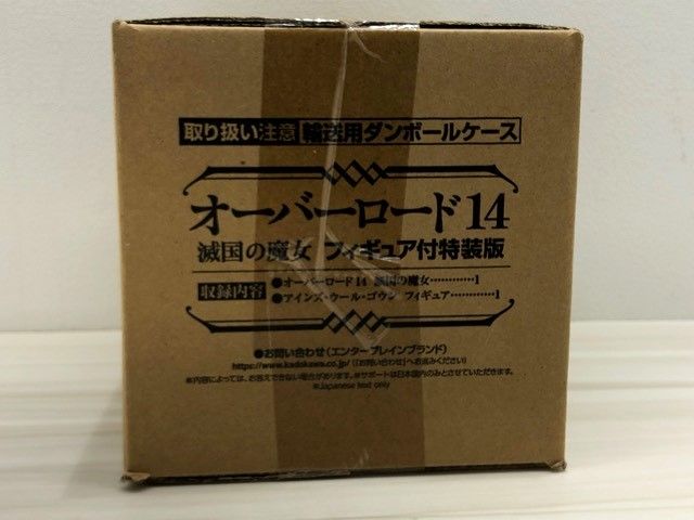 オーバーロード 14 滅国の魔女 フィギュア付特装版 書籍 【F4916