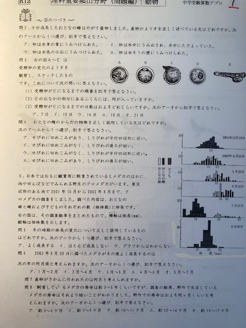 中学受験 学校別 2024年新攻略プリント 2校セット（算数と理科