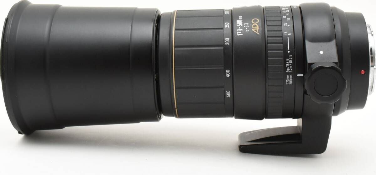 E27/6542-10 / シグマ SIGMA 170-500mm F5-6.3 APO ソニー SONY A  
