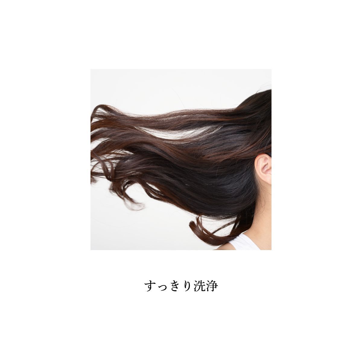 W ダブル