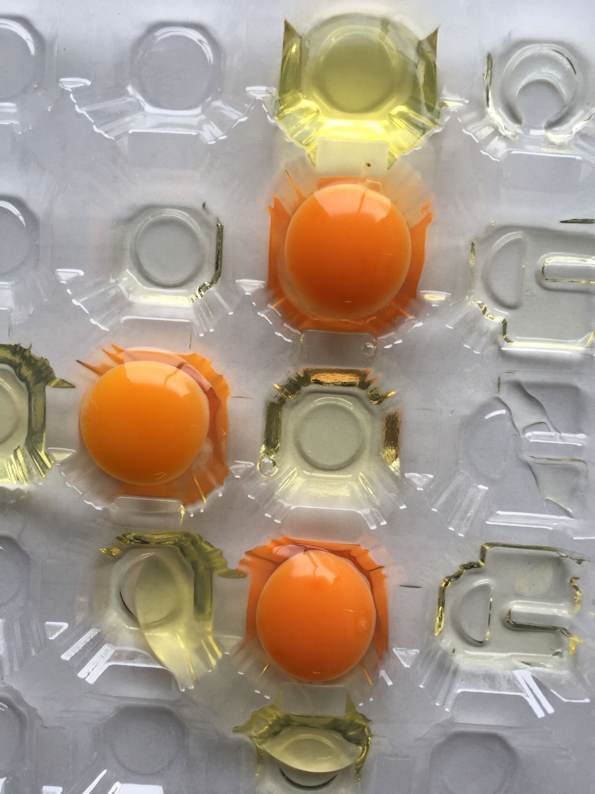 80個 若たまご 卵掛けご飯 生2週間 加熱1ヶ月 北海道*沖縄