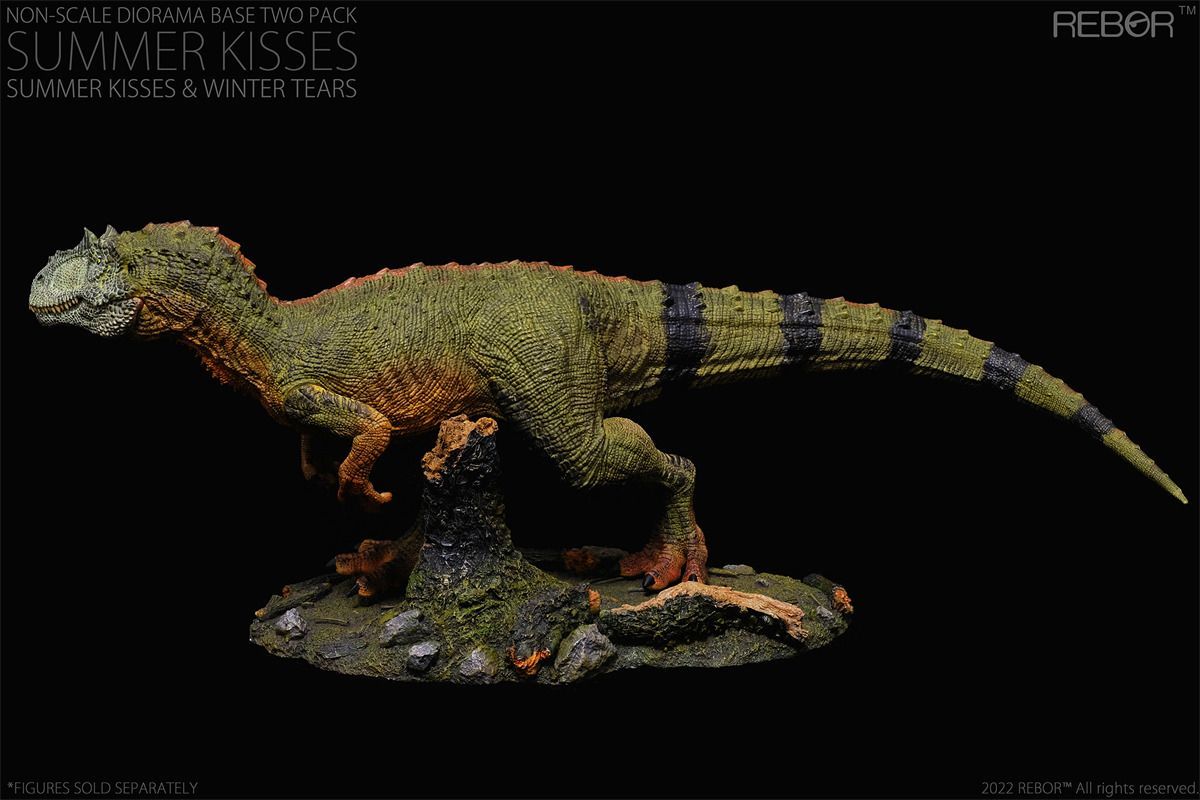【レア】ナノティラヌス（Nanotyrannus）の歯 母岩付き　鋸歯あり レア】ナノティラヌス（Nanotyrannus）の歯 母岩付き 鋸歯あり