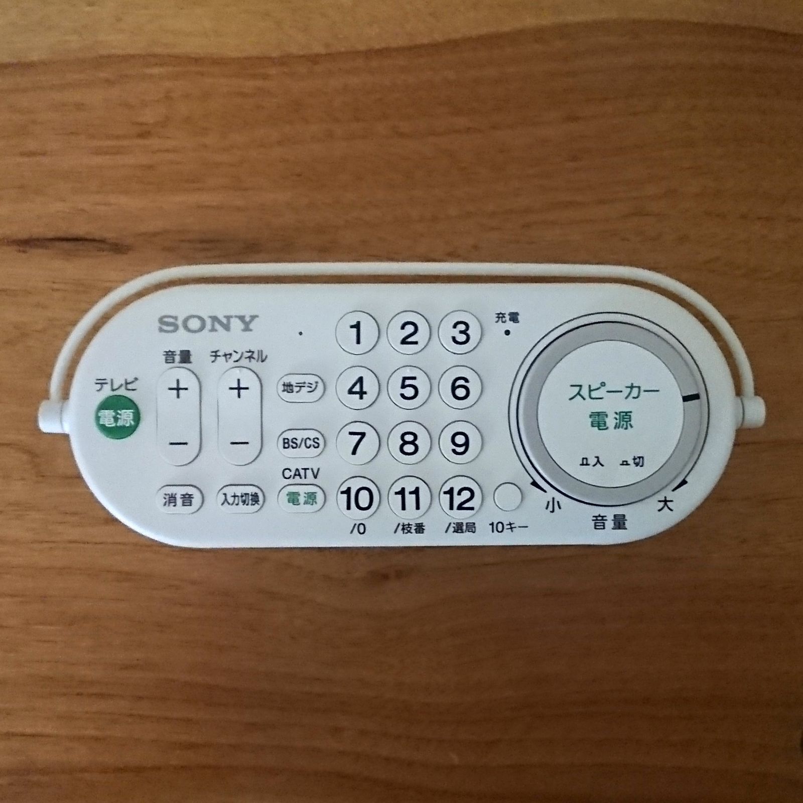 SONY SRS-LSR100
