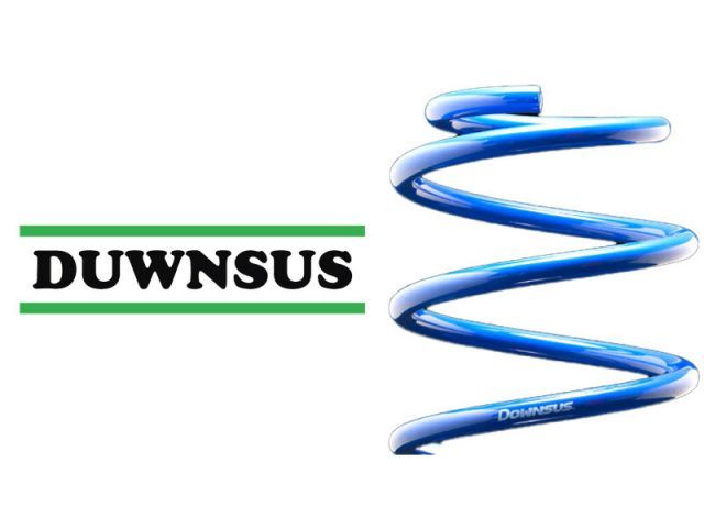 [エスペリア]NZE161G カローラフィールダー_1.5G / 1.5X(2WD 1.5L MT車_H29/10～R1/8)用ダウンサス[車検対応]