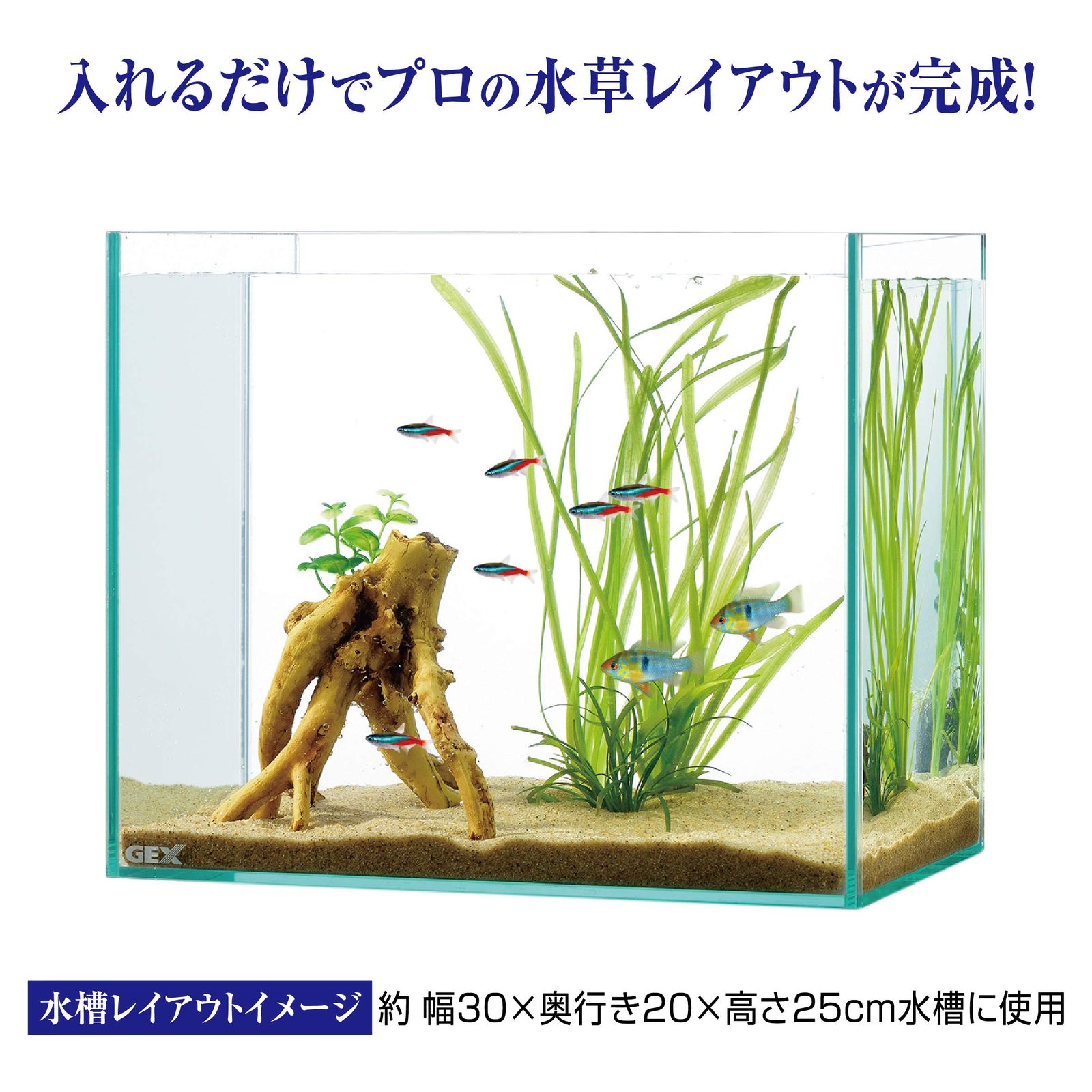 癒し水景