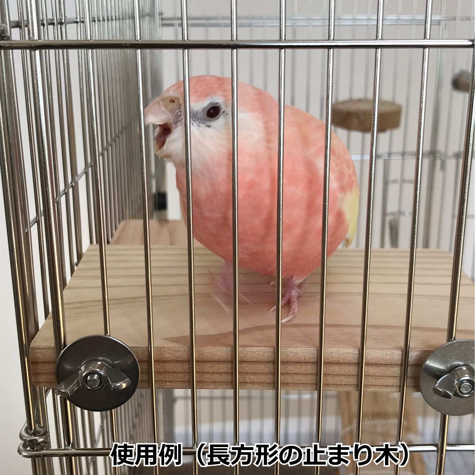 長方形止まり木(12×9センチ) インコ・小動物用ステップ - 鳥用品