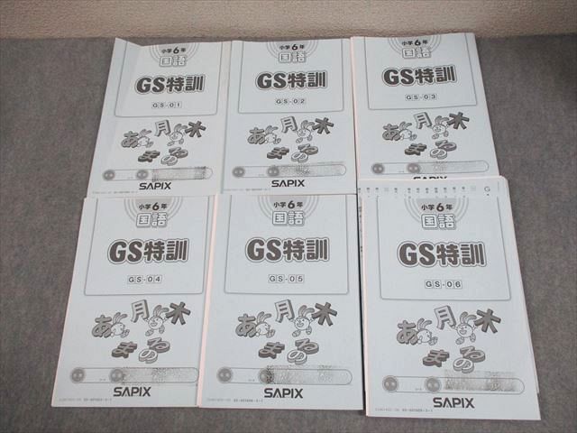 SAPIX サピックス 小6 国語 GS特訓 GS-01〜06 2024年度版 計6冊 027S2D SAPIX サピックス 小6 国語 GS特訓 GS-01～06 2024年度版 計6冊