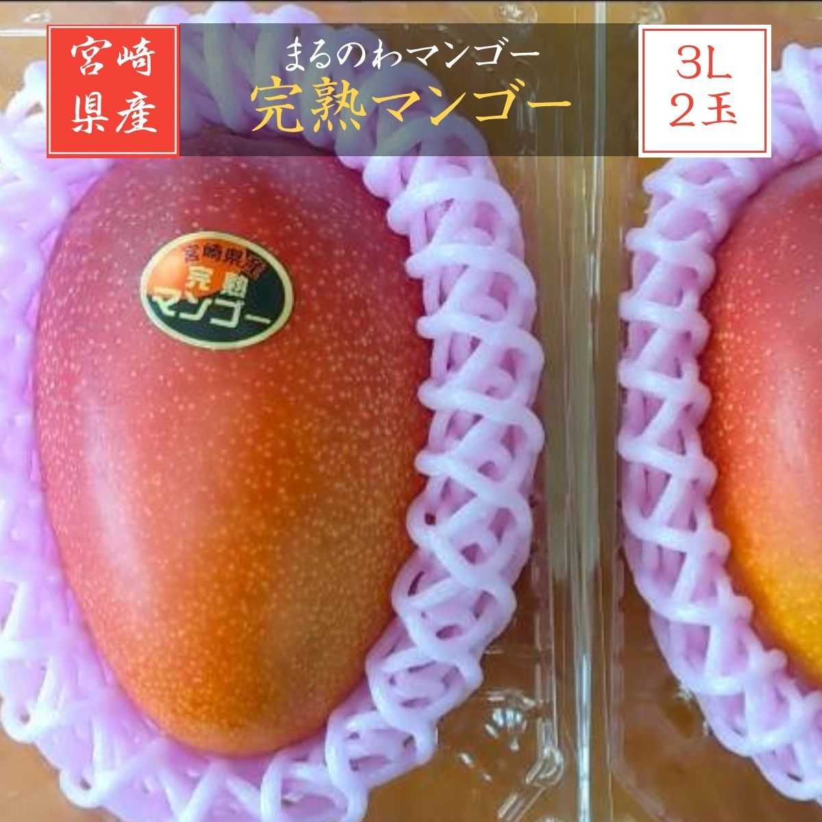 マンゴー まるのわマンゴー 完熟マンゴー 3L 2個 宮崎県宮崎市 5|上～5|中の出荷