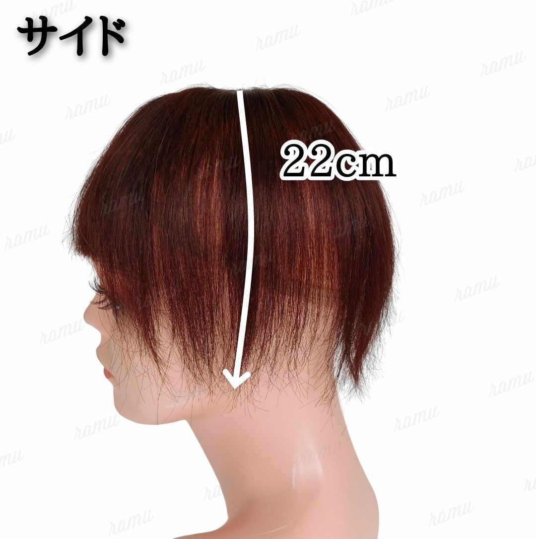 新品】人毛100％ 部分ウィッグ ヘアピース 白髪かくし ダークブラウン