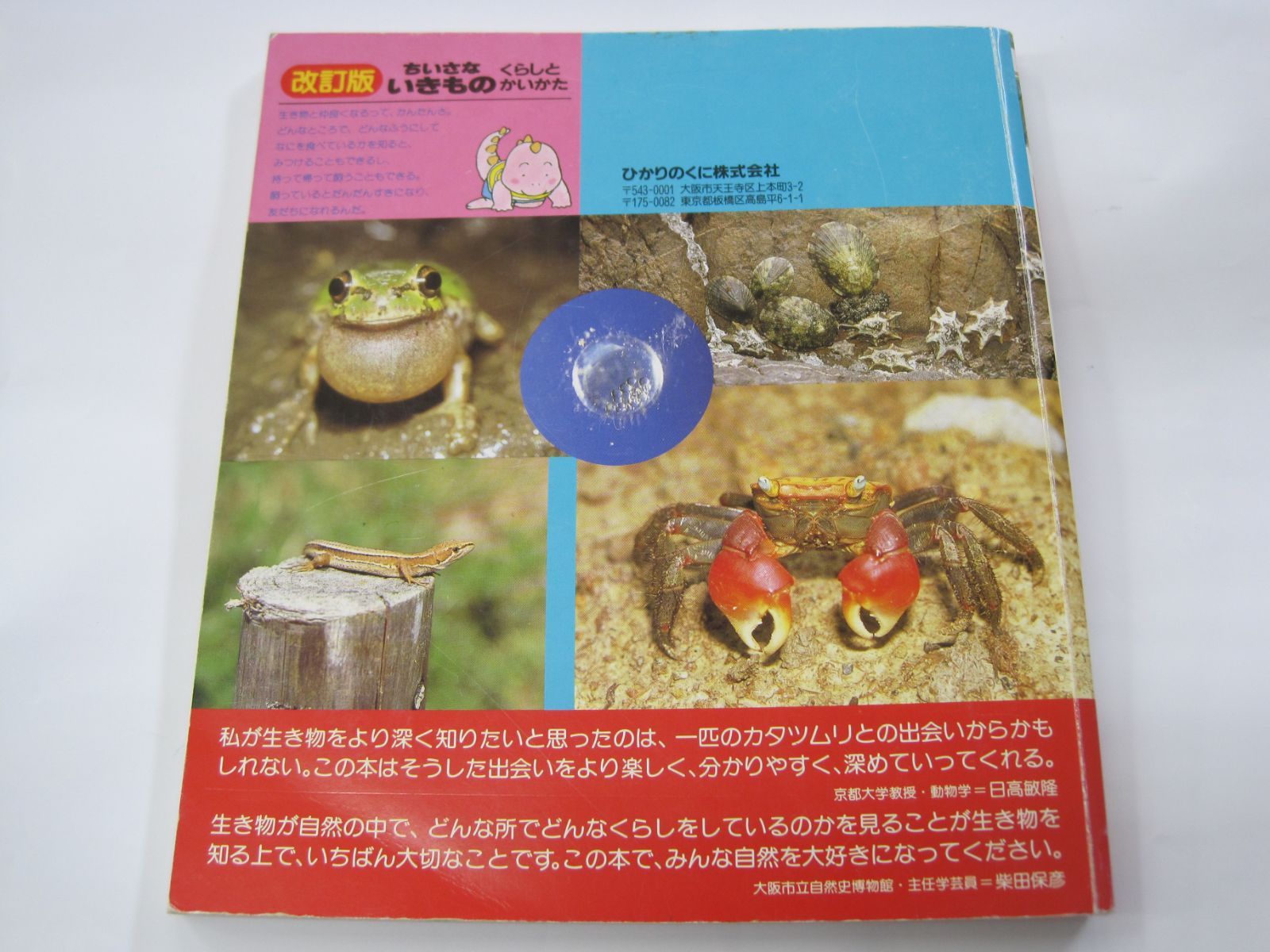 【中古】 愛さずにはいられないっ 動物ふれあいエッセー・マンガ １/かんき出版/いがらしゆみこ いぬい さえこ🐿️ on X: 