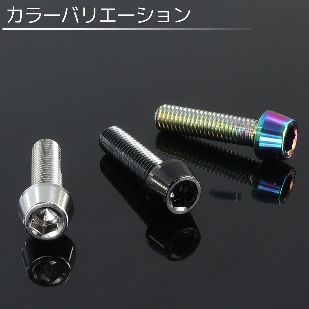 正規品/ライズコーポレーション 汎用 M5×20 チタンボルト ブラック 4本セット RISE Corporation バイク