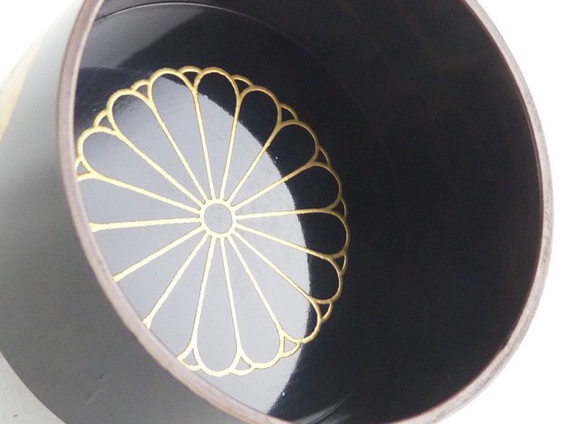 約6cm