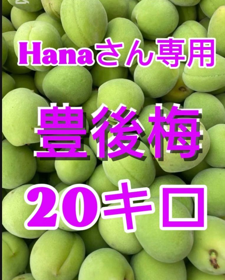 Hanaさん 2-3Lサイズ 20キロ箱込み