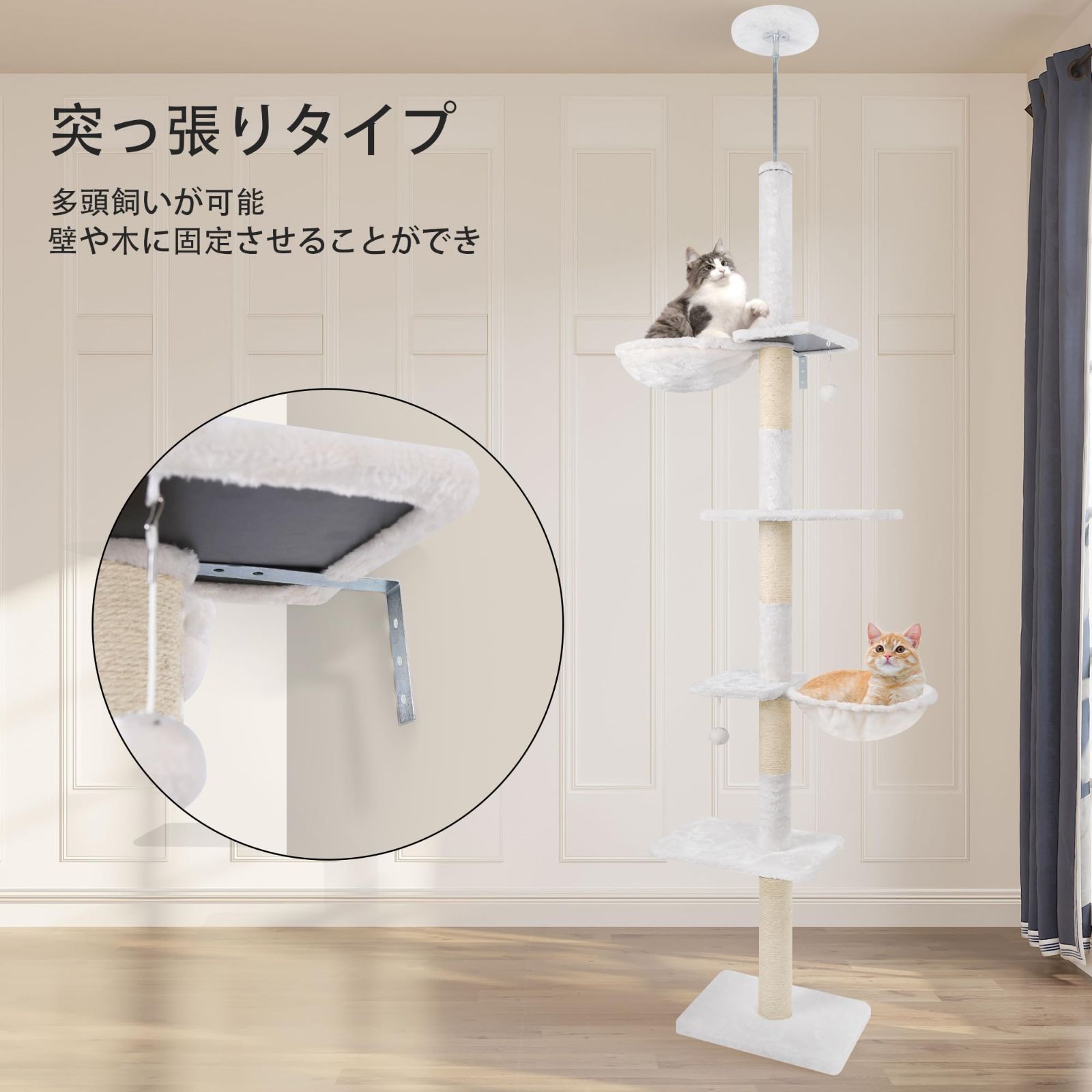突っ張り