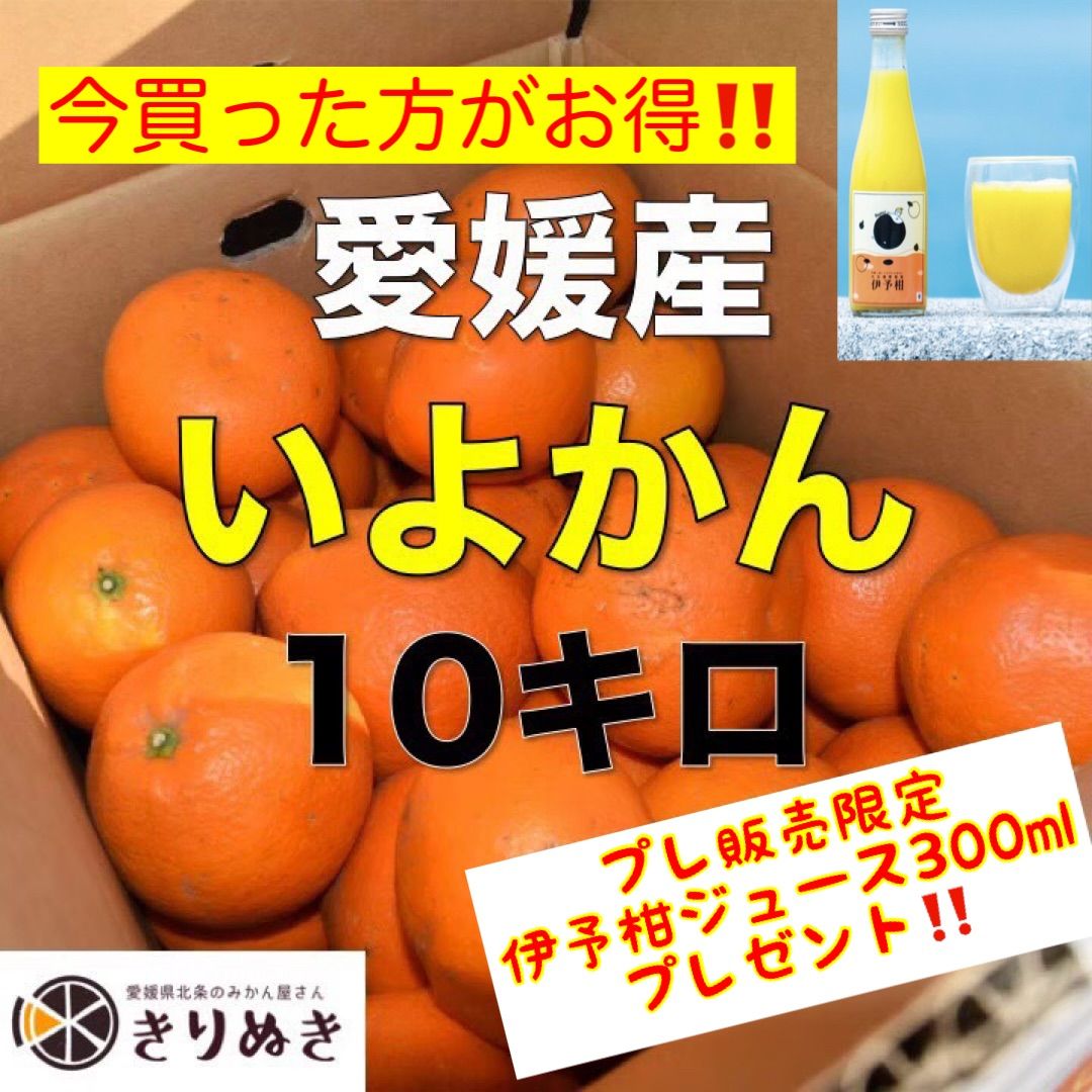 伊予柑10キロ  伊予柑ジュースプレゼント-0