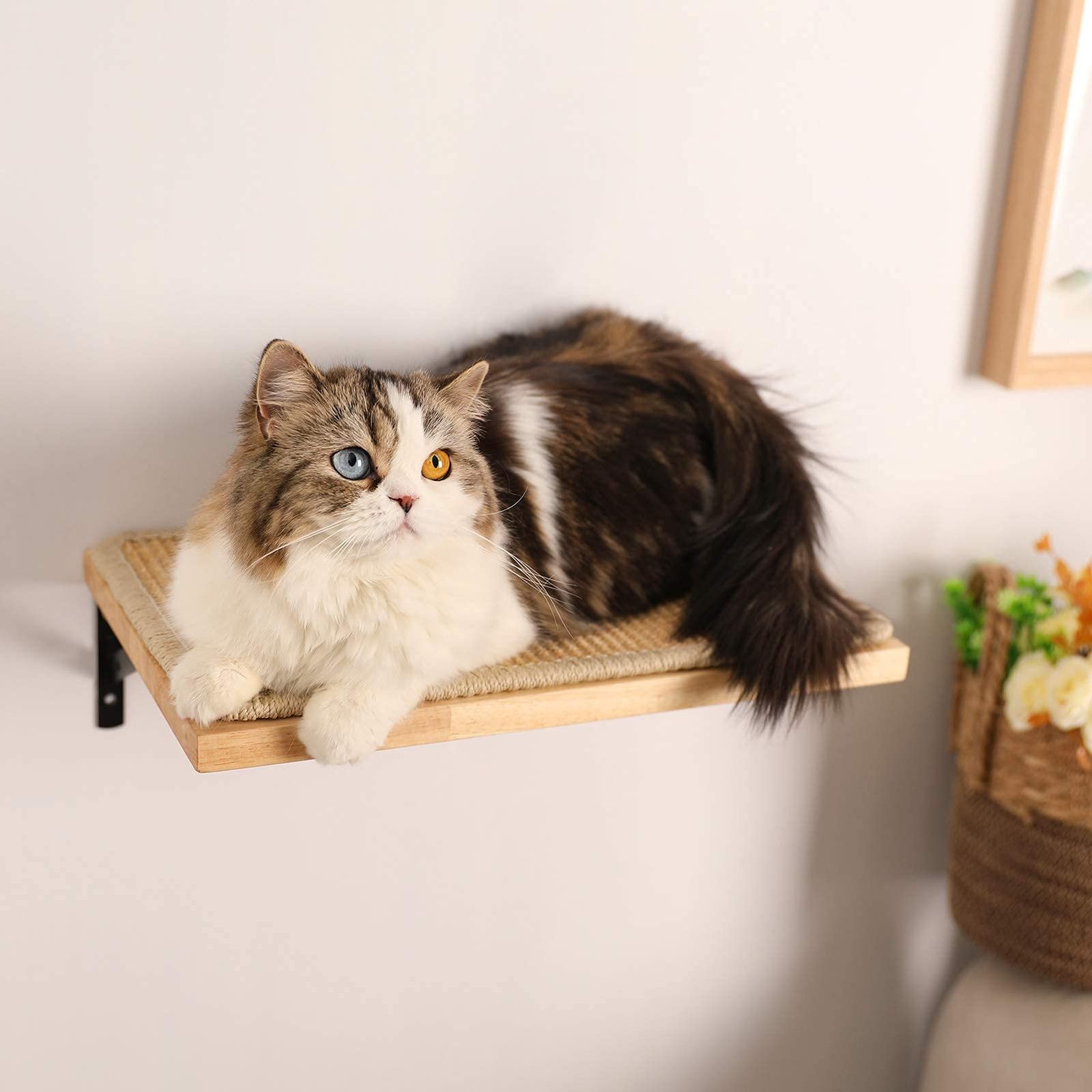 キャットウォーク」の人気商品一覧・価格比較 - 価格.com 【☆数量限定