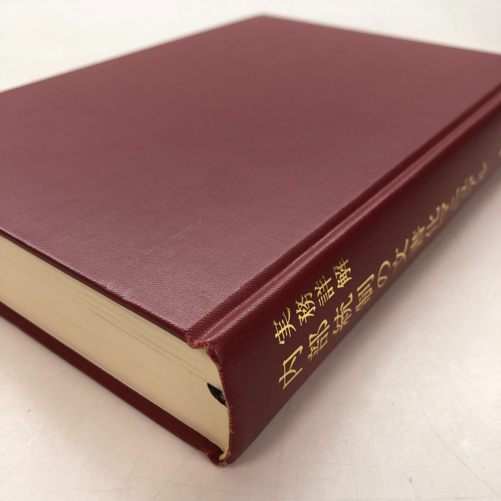 実務詳解内部統制の文書化マニュアル （実務詳解内部統制の文書