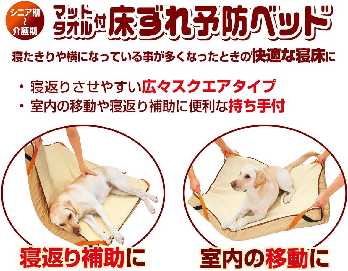 中型犬用