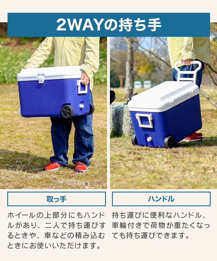 お花見