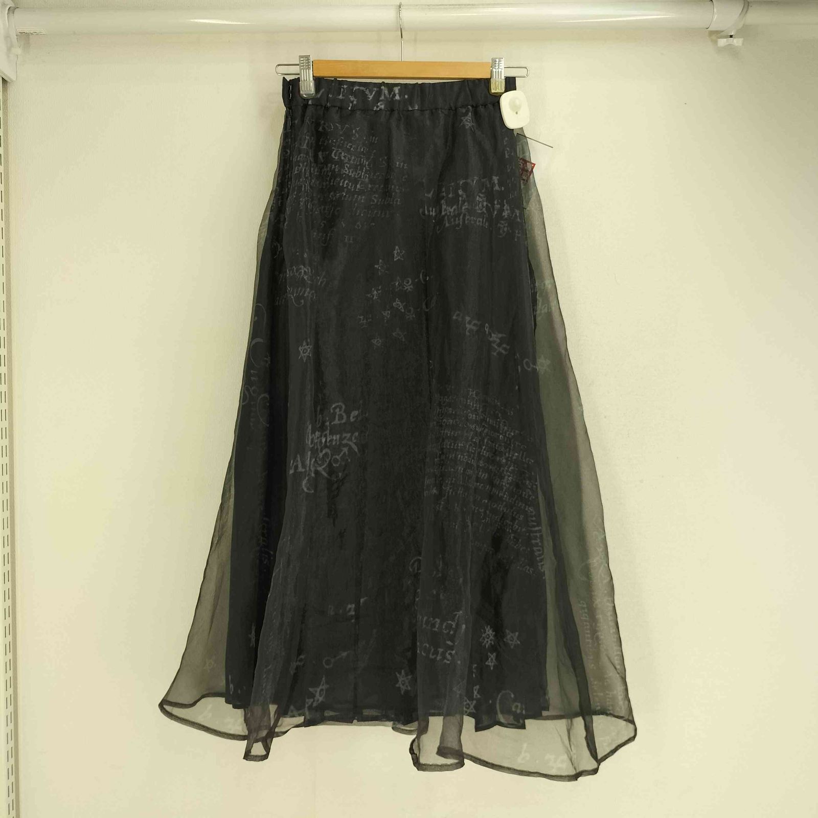 スカート AMERI HOROSCOPE SHEER PLEATS SKIRT Ameri（アメリ）の「HOROSCOPE SHEER PLEATS SKIRT（スカート