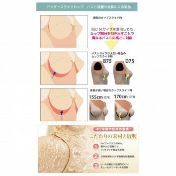 総レース多機能ブラジャー TYA90