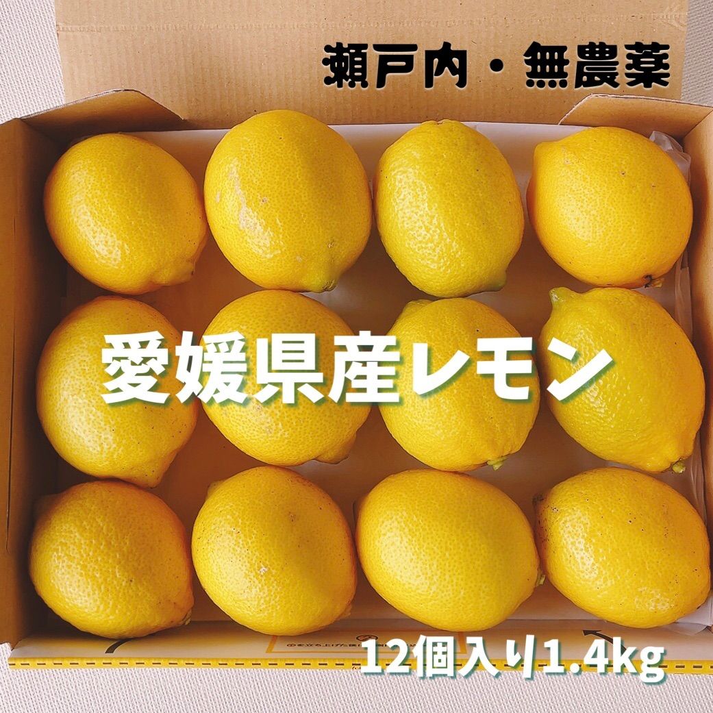 日本製国産瀬戸内広島レモン15kg 果物