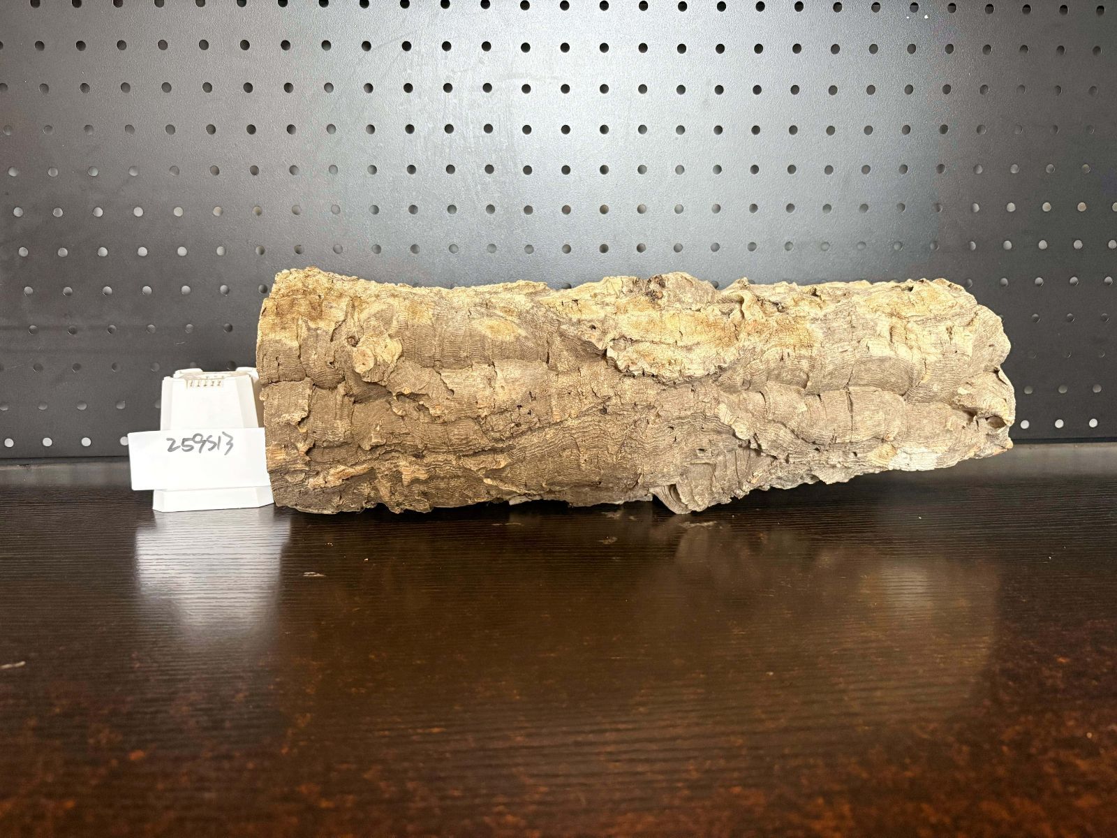 259S13 ポルトガル産