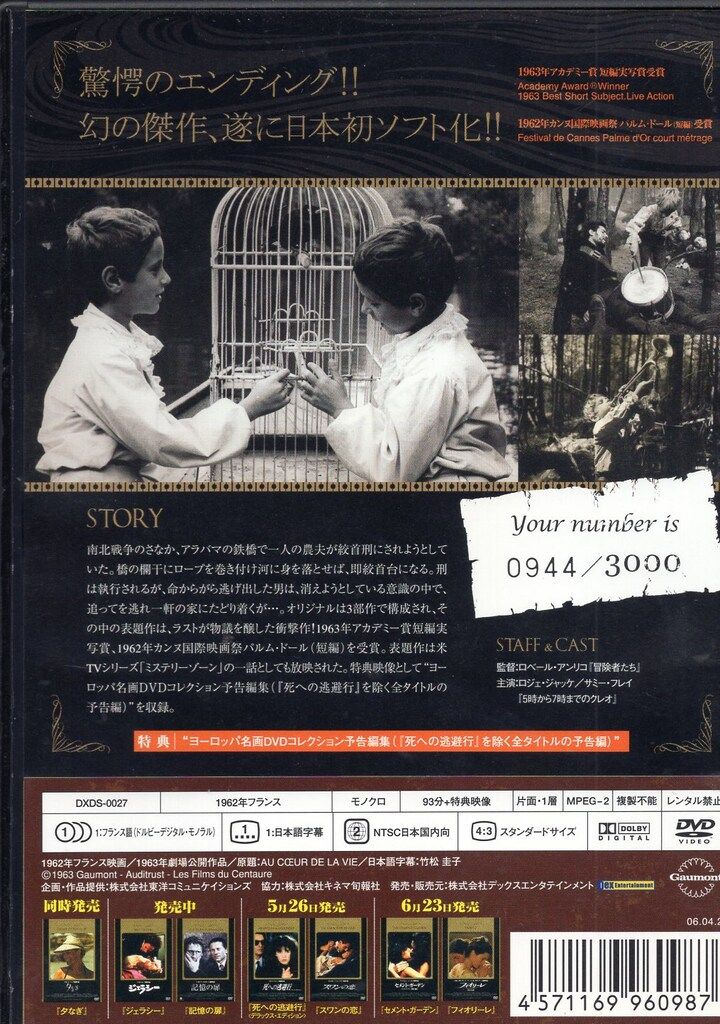 フクロウガスム　DVD ふくろうの河 DVD 公式 ストア