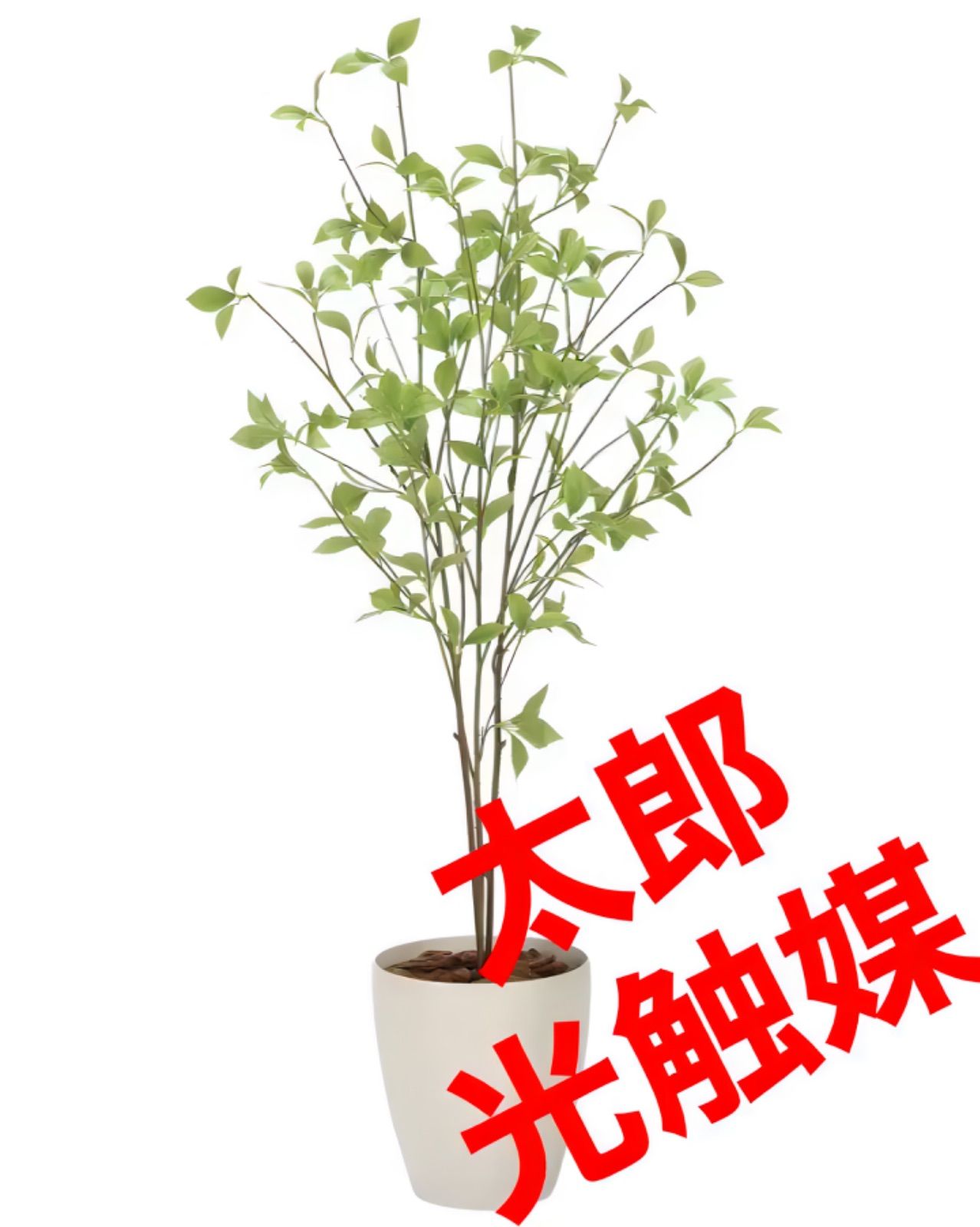 光触媒 人工観葉植物 ウォールグリーン フェイクグリーン クロモジ1.2