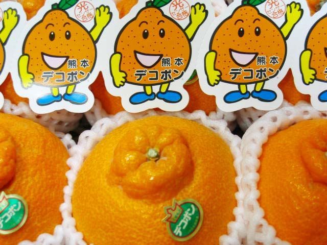 熊本デコポン
