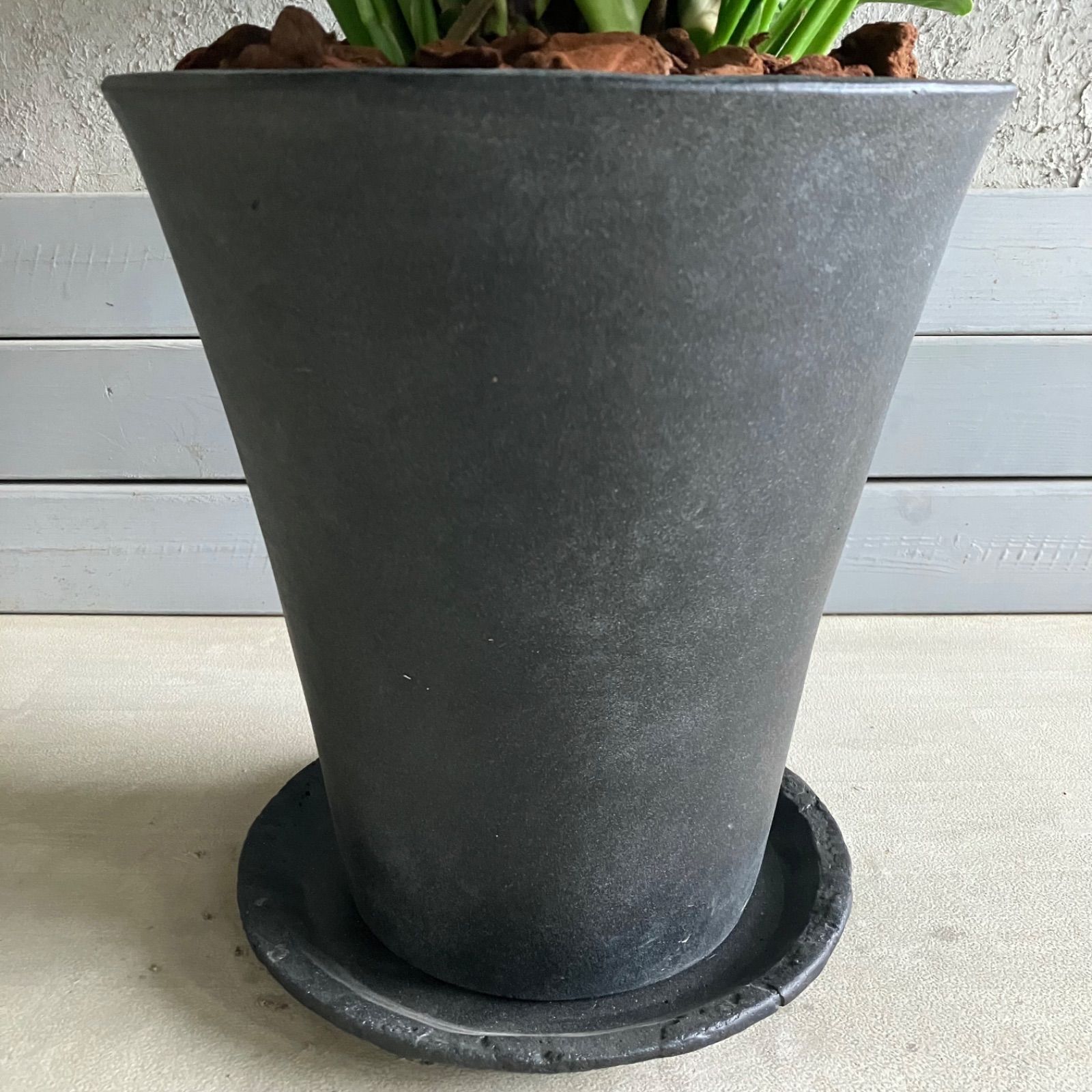 9号 テラコッタ鉢植え