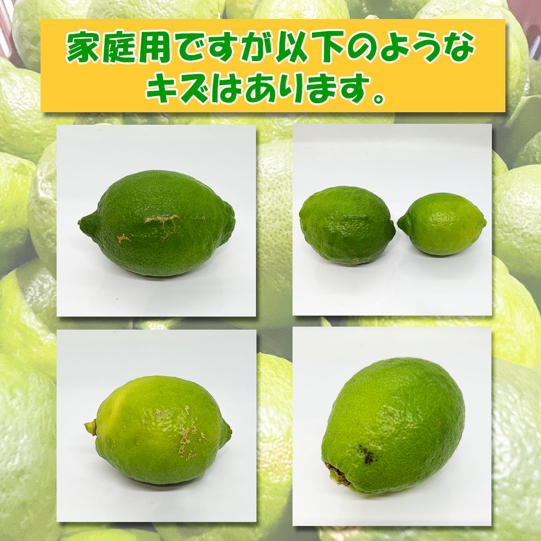 愛媛県産 グリーンレモン 10kg 新品 - メルカリ