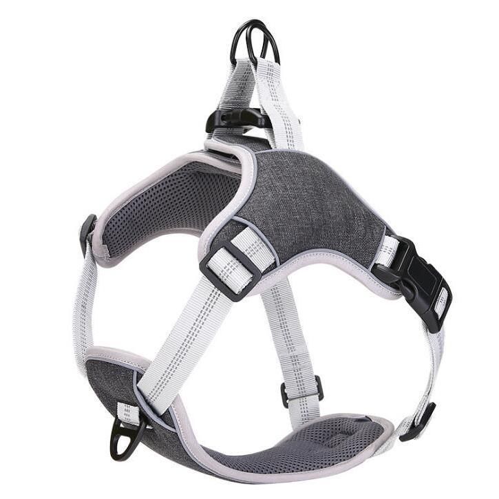 コーチ（coach）ボーンチャーム付き首輪 未使用品 新品✨未使用COACH 犬の首輪シグネチャー ボーン チャーム ドッグ