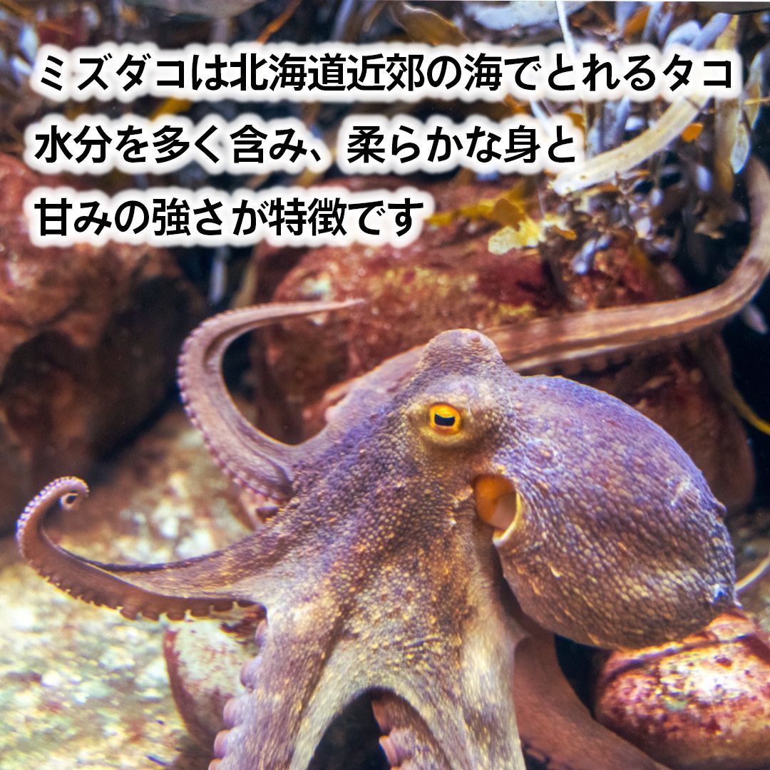 激安 格安 お得【北海道産】タコ 水たこ ミズダコ 特大 たこ足